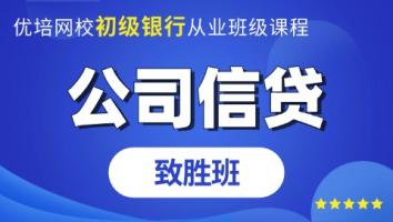 初级银行从业《公司信贷》致胜班