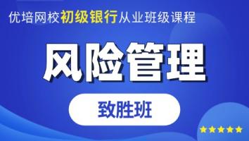 初级银行从业《风险管理》致胜班